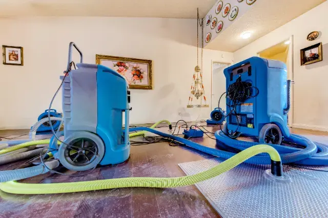 Air movers and a dehumidifier drying walls in a Columbia, MD home